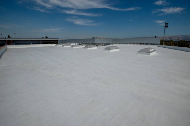 Best Chimney Flashing Repair  in Alorton, IL